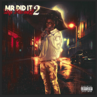 FattMack - Mr. Did It By Hisself 2 album cover
