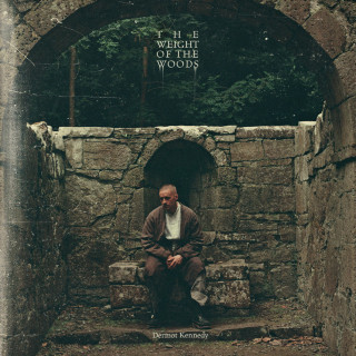 Dermot Kennedy - The Weight Of The Woods album cover