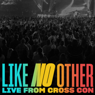 Shane & Shane - Like No Other live album cover