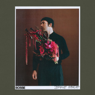 Bosse - Stabile Poesie album cover