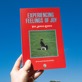 The Jungle Giants - Experiencing Feelings Of Joy album cover