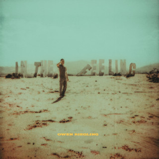 Owen Riegling - In The Feeling album cover