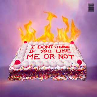 Buddha Trixie - I DONT CARE IF YOU LIKE ME OR NOT EP cover