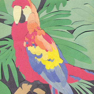 Algernon Cadwallader - Parrot Flies album cover