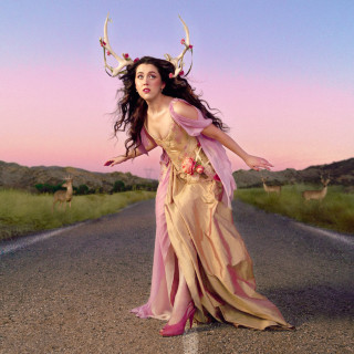Em Beihold - Tales Of A Failed Shapeshifter album cover