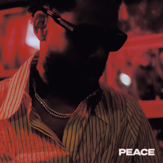 Terrace Martin - PEACE album cover