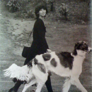 ovine hall - ovine hall EP cover
