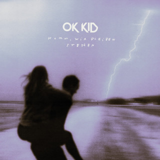 OK KID - Komm, Wir Bleiben Stehen album cover