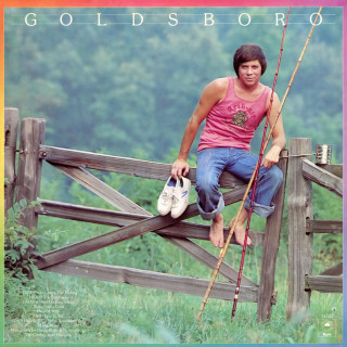 Bobby Goldsboro - Goldsboro album cover