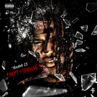 Noodah05 - Adapt To Survive album cover