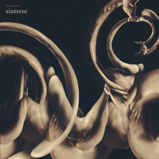 Siamese - dissolution album cover