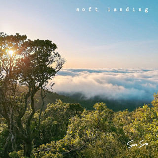 Sure Sure - Soft Landing album cover