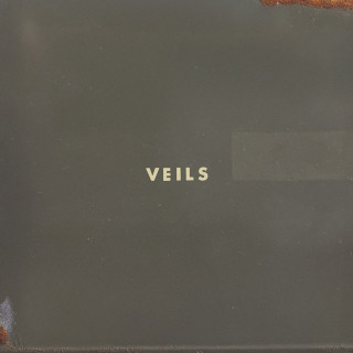 Vanessa Carlton - Veils album cover