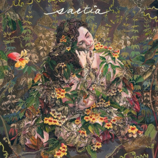 Saetia - Tendrils EP cover