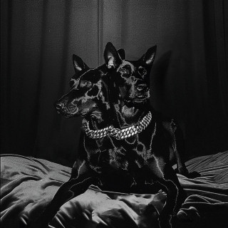 Sofiane Pamart - FOREVER FRIENDS album cover