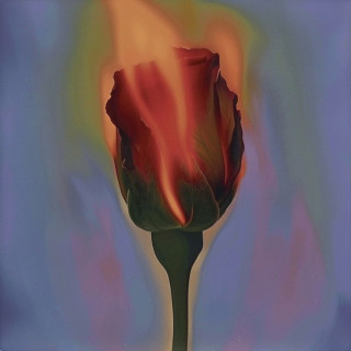 Dept - Pray For You EP cover