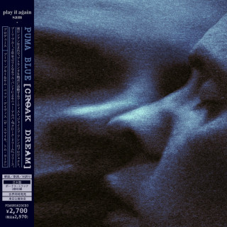 Puma Blue - (Fool) single cover