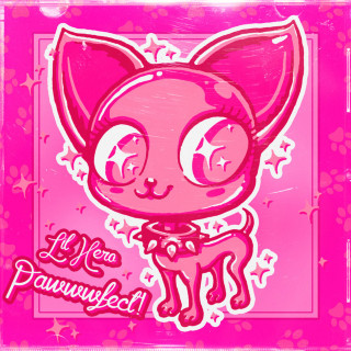 lil hero - pawwwfect! album cover