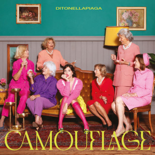 Ditonellapiaga - Camouflage album cover