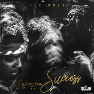 Dee Mula - Suffering From Success album cover