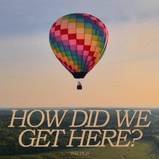 The Figs - How Did We Get Here? album cover