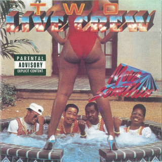 The 2 Live Crew - Move Somethin' album cover