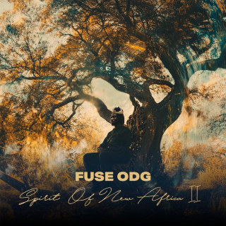 Fuse ODG - Spirit of New Africa II album cover