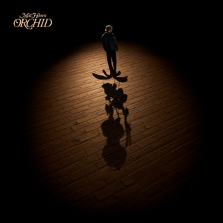 Matt Hansen - Orchid album cover