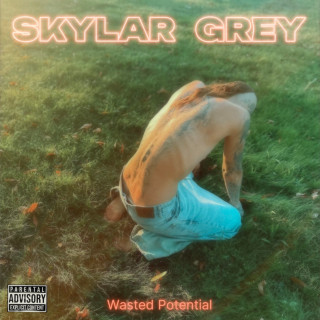Skylar Grey - Wasted Potential album cover