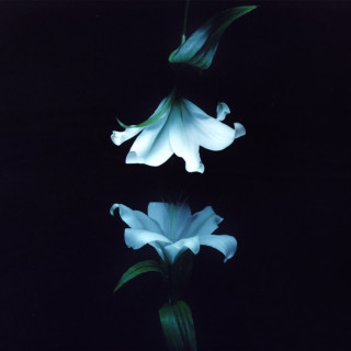 Wasia Project - Nocturne album cover