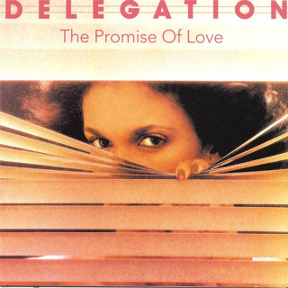 Delegation - The Promise Of Love album cover