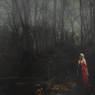 156/Silence - From A Distance album cover