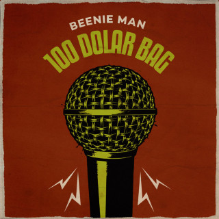 Beenie Man - 100 Dollar Bag album cover
