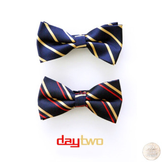 Young Dro - Day Two mixtape cover