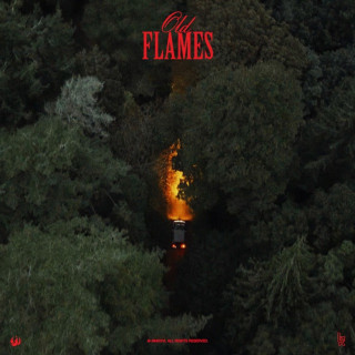 La Roux - Old Flames album cover