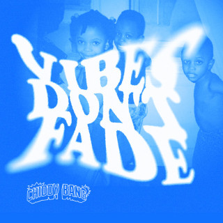Chiddy Bang - Vibes Don't Fade album cover