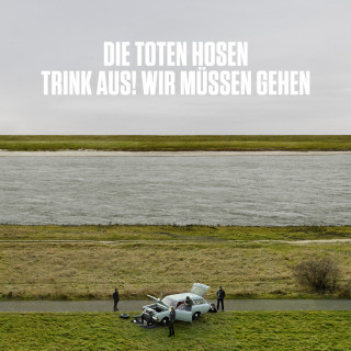 Die Toten Hosen, Peter Hein, Mittagspause & Fehlfarben - Alles Muss Raus! album cover