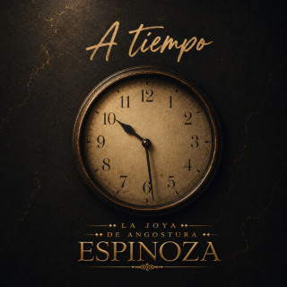 Espinoza Paz - A Tiempo album cover