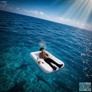 LAZER DIM 700 - The Rule Of Success album cover