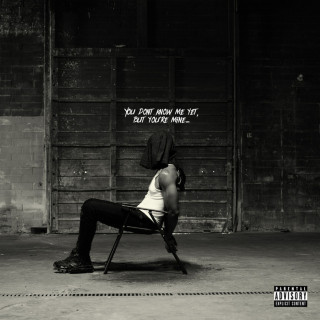 Sy Ari Da Kid - You Don't Know Me Yet, But You're Mine album cover