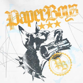 Nic D - Paperboys album cover