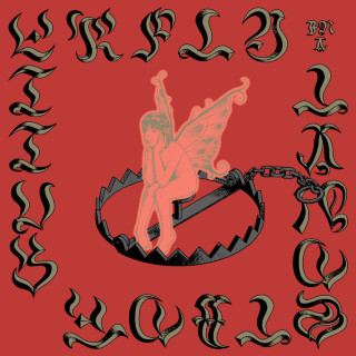 Hot Flash Heat Wave - Butterfly In A Landslide album cover