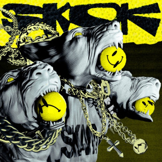 Sokół - SKAM album cover