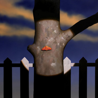 Racoma - Orchid single cover