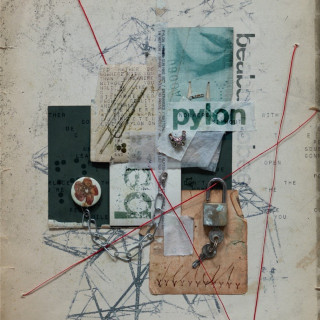 beabadoobee - Pylon album cover