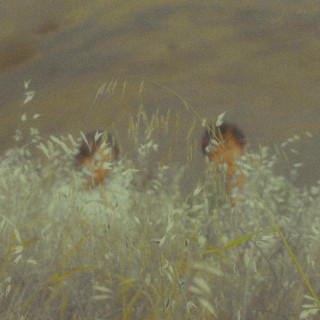 Hand Habits - Your Lemon single cover