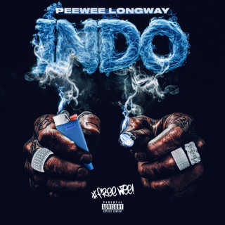 Peewee Longway - INDO album cover