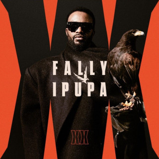 Fally Ipupa - XX : Délirium album cover