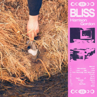 Harrison Gordon - BLISS album cover