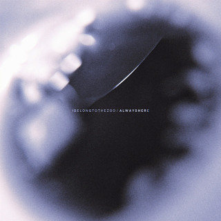 I Belong To The Zoo - Always Here album cover